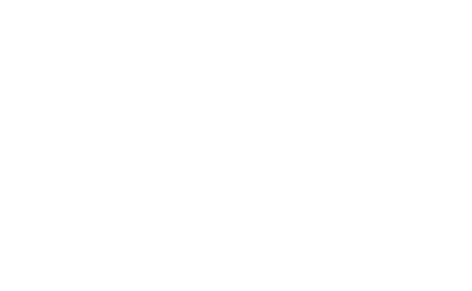 PICAM360